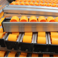 ABS Plastic Roller Track for Pallets